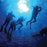 Get a Life—an exciting one as a PADI Open Water Scuba Instructor
