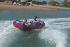 Watch out for that tree !